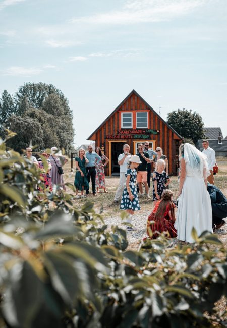 Pulmad, Hetked ajas fotograafia