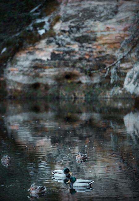 Loodus, Hetked ajas fotograafia