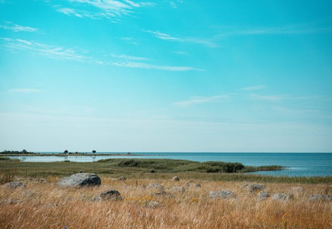 Pulmad, Hetked ajas fotograafia