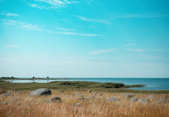 Pulmad, Hetked ajas fotograafia