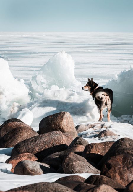 Loodus, Hetked ajas fotograafia