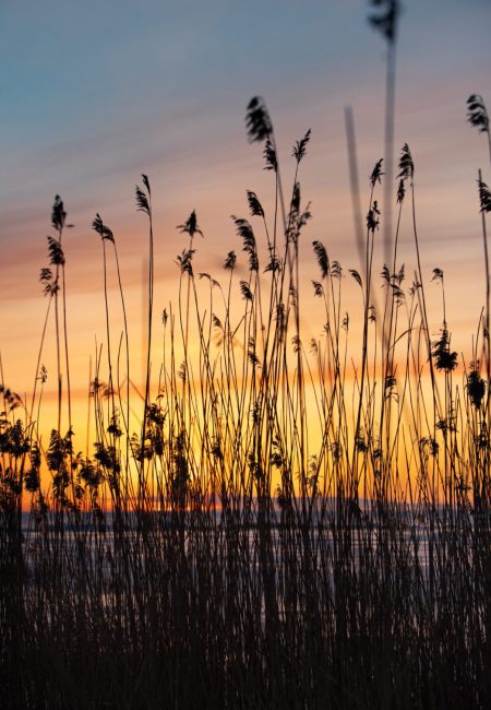 Loodus, Hetked ajas fotograafia