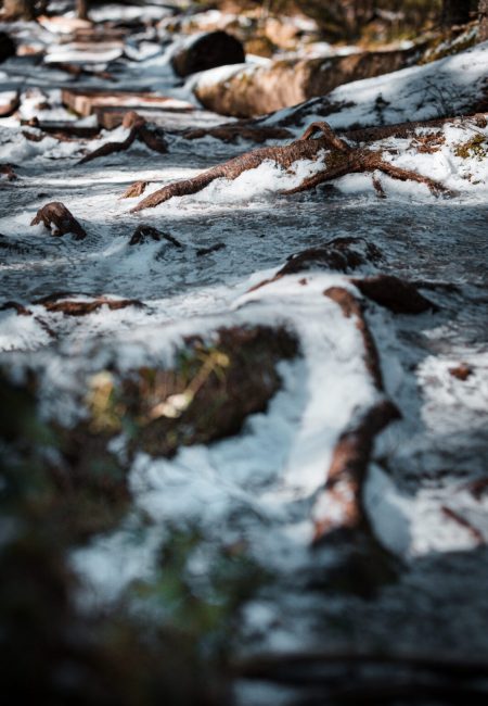 Loodus, Hetked ajas fotograafia