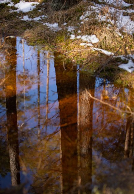 Loodus, Hetked ajas fotograafia